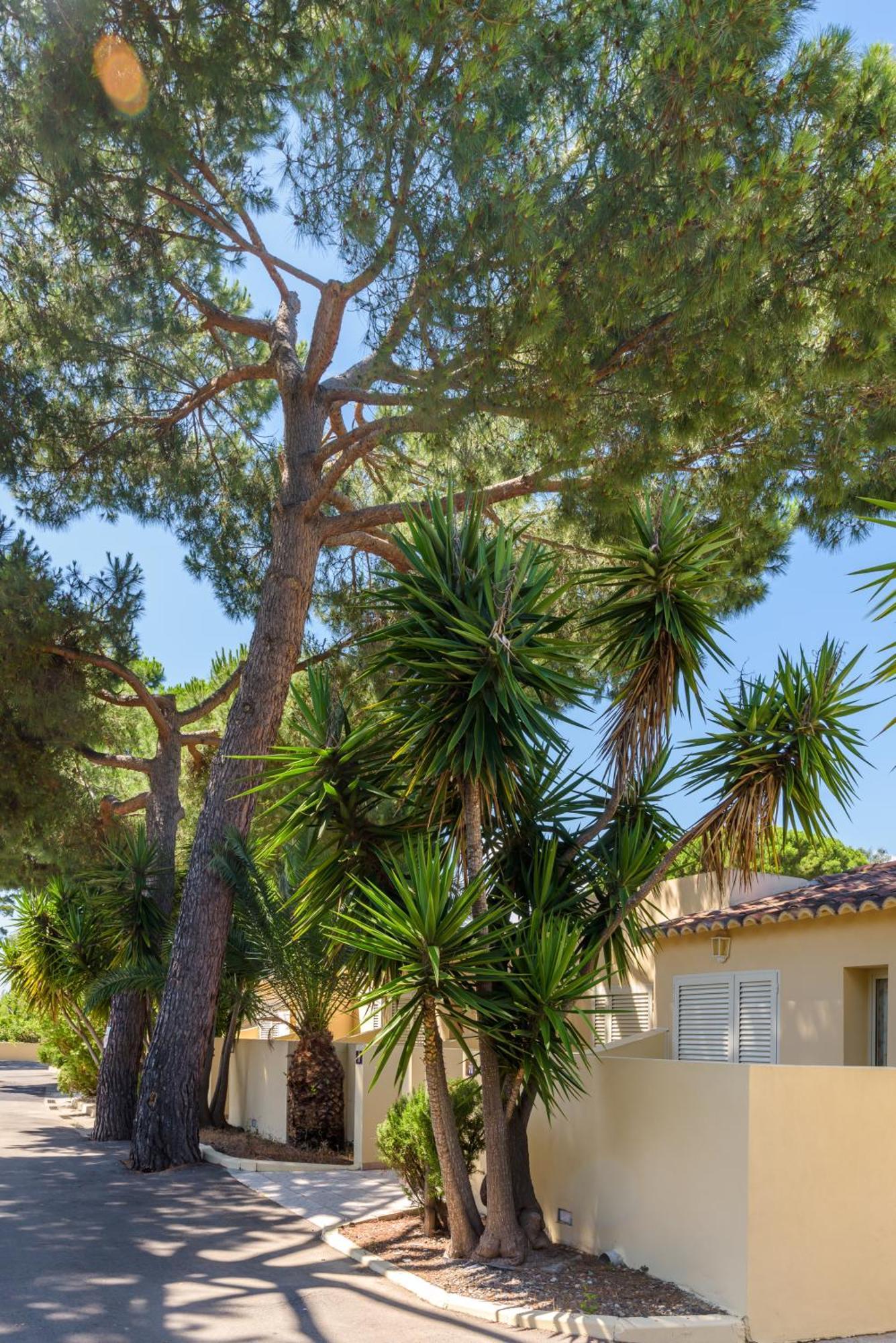 Residence San Pellegrino Folelli Екстериор снимка