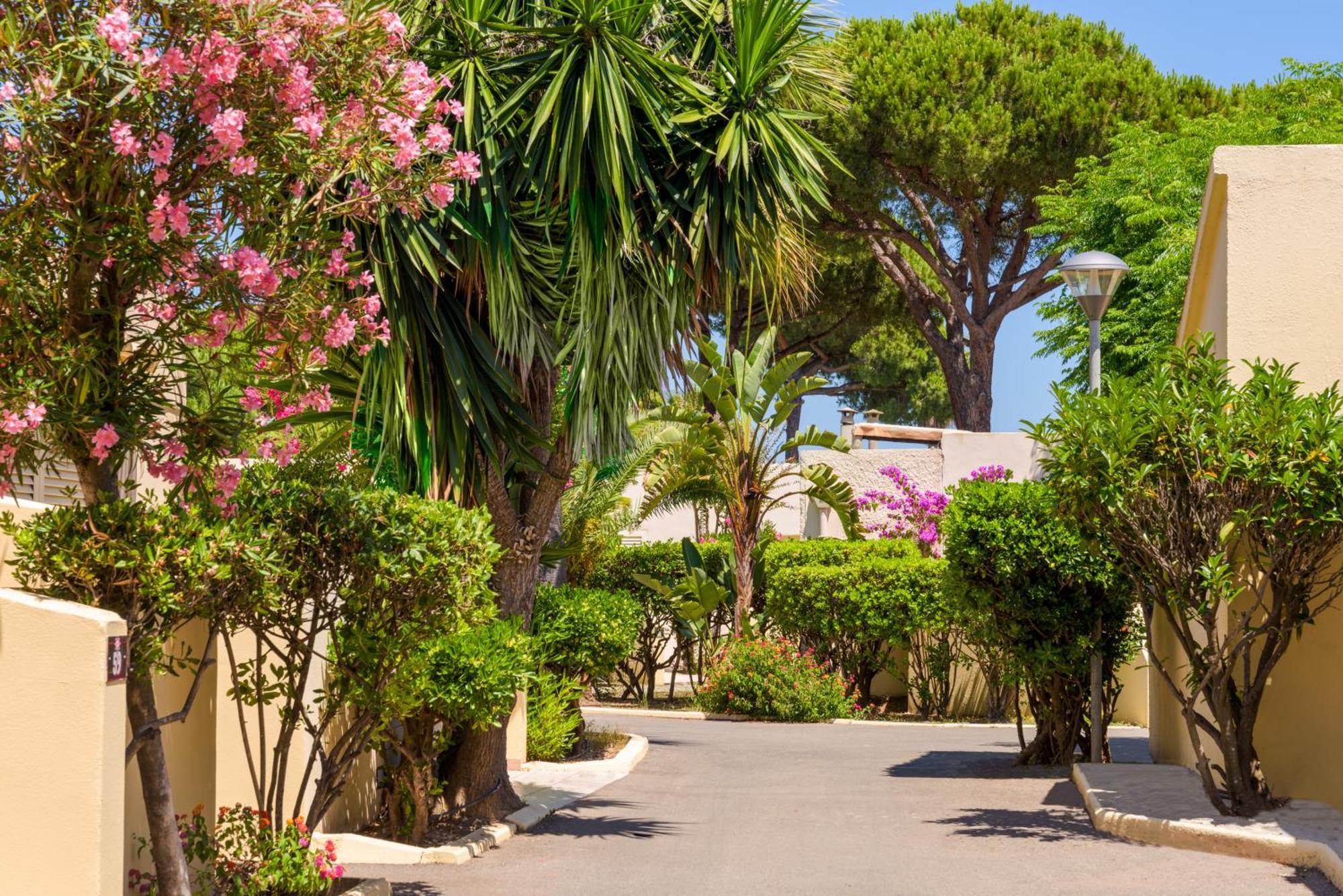 Residence San Pellegrino Folelli Екстериор снимка